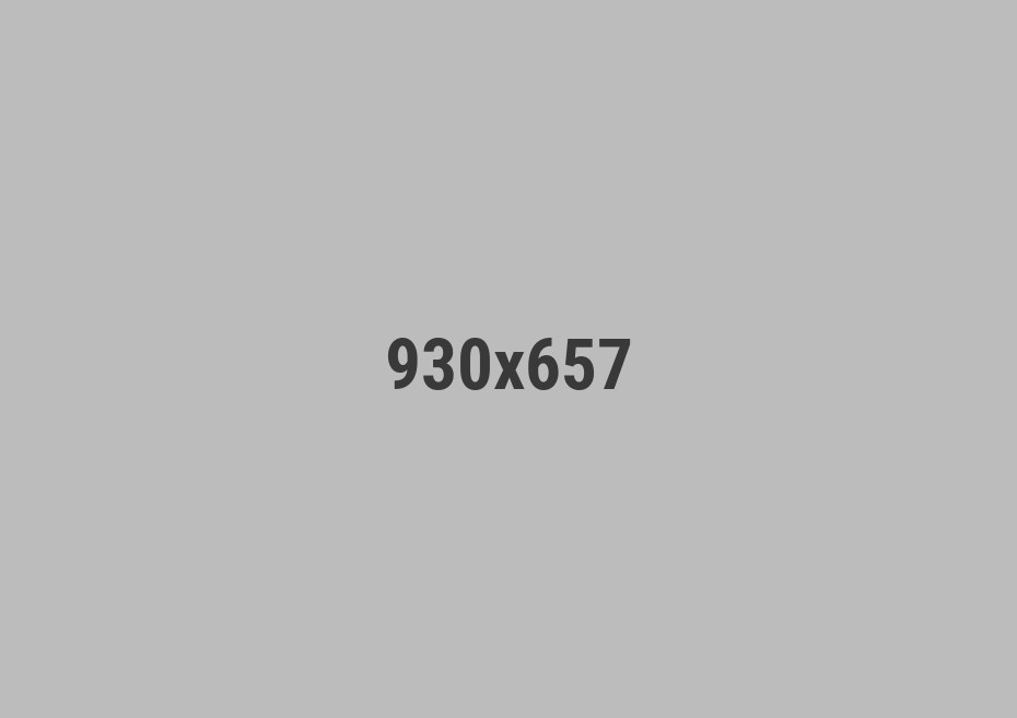 PORTFOLIO TITLE 1